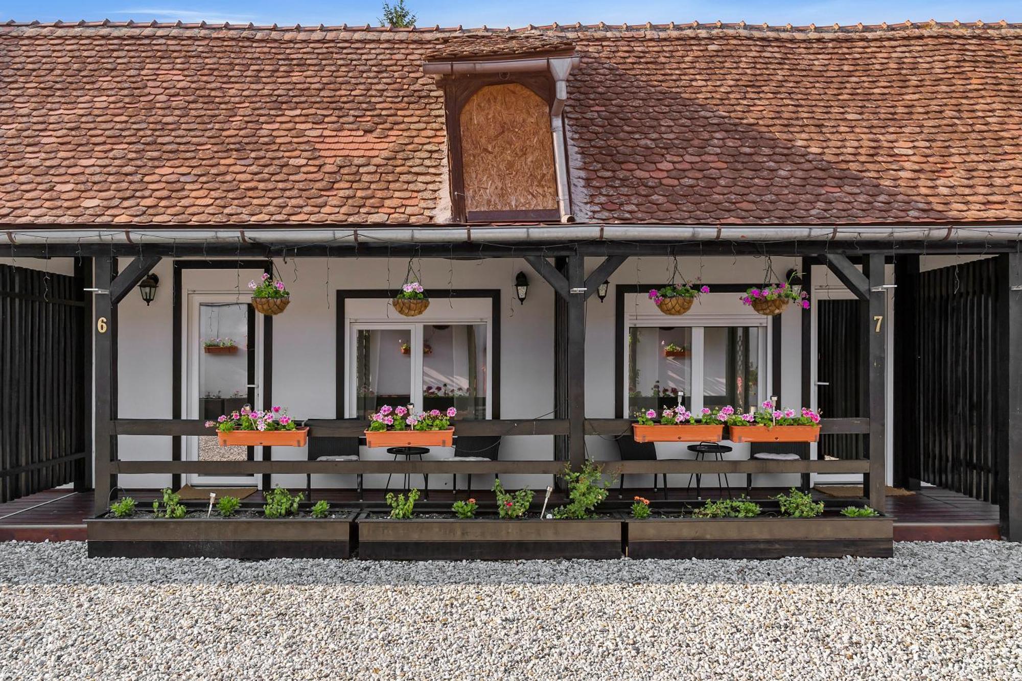 Guest house Pensiunea Alina 
