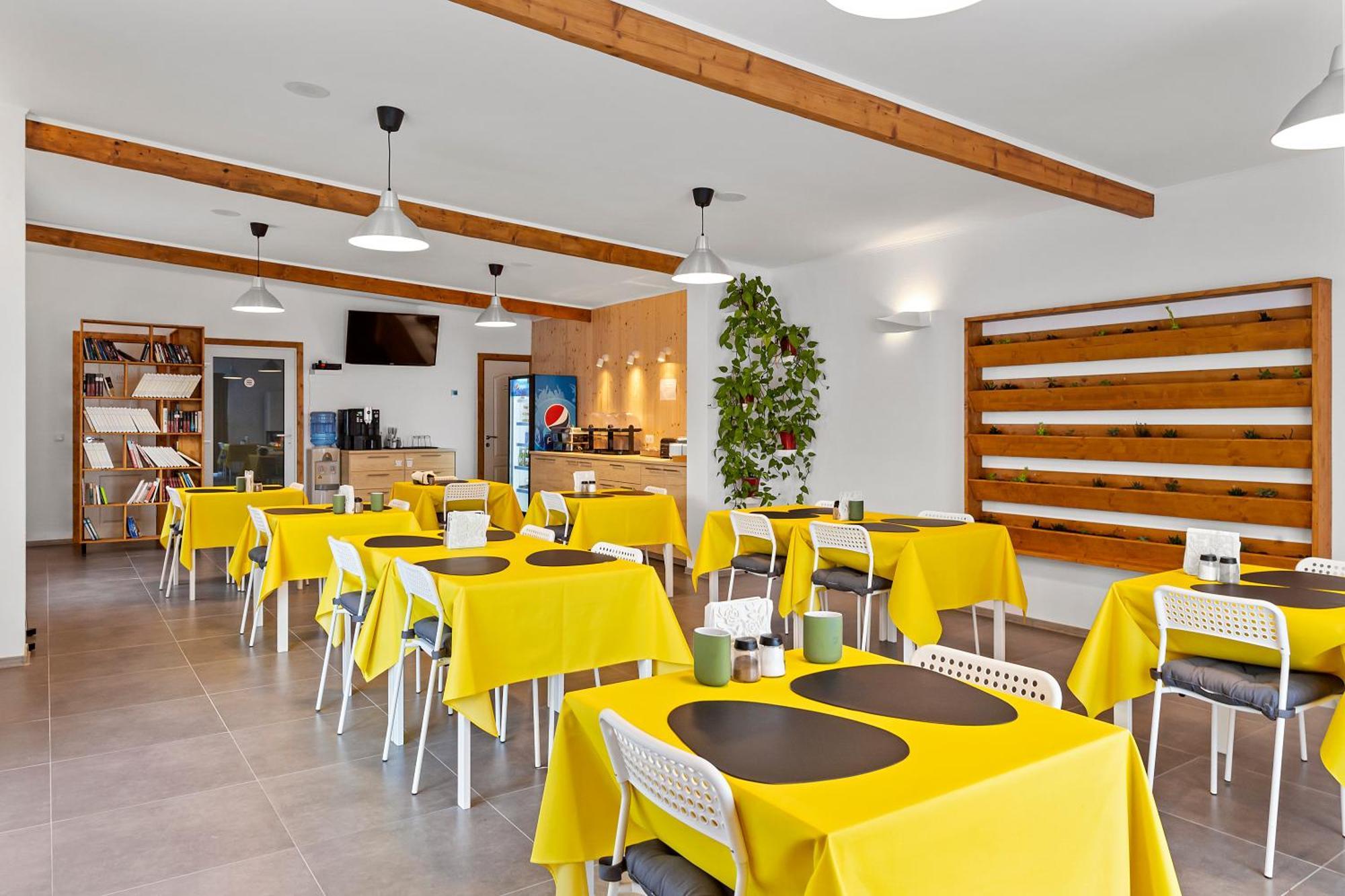 Guest house Pensiunea Alina 