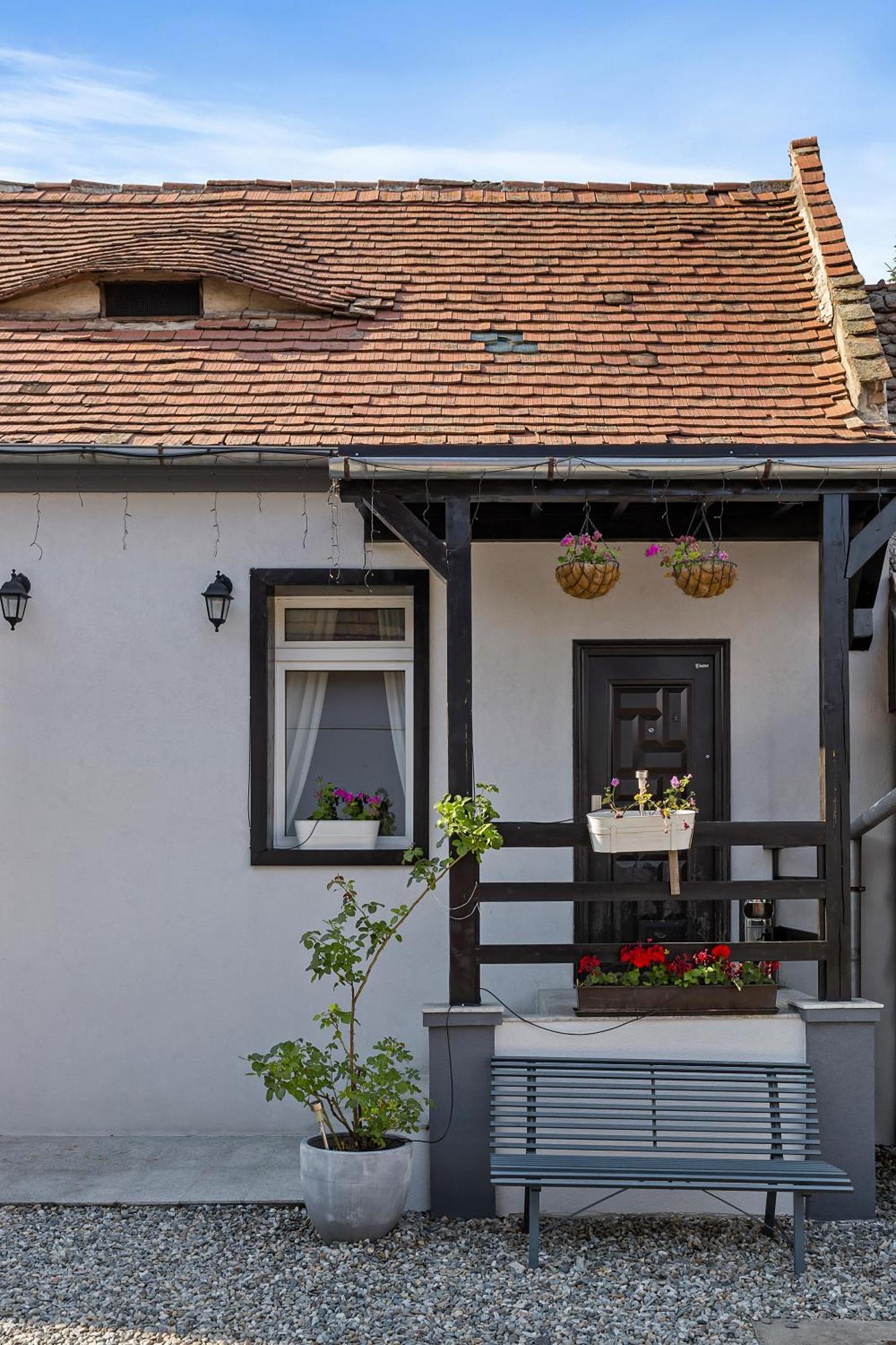 Guest house Pensiunea Alina 