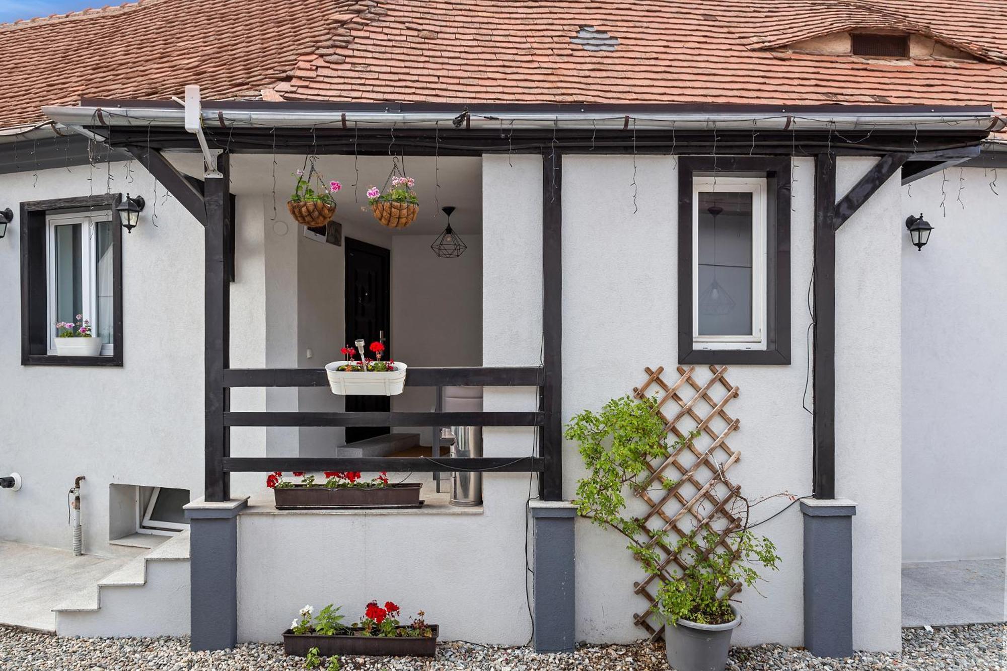 Guest house Pensiunea Alina 