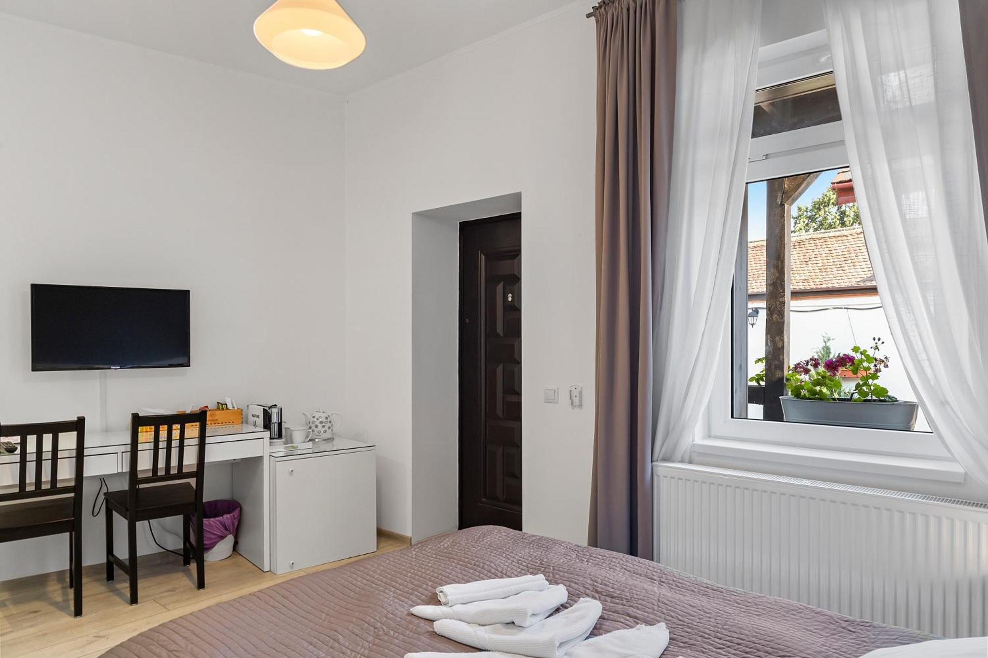 Guest house Pensiunea Alina 